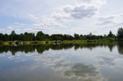 Zdjęcie: 6.jpg