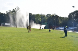 Zdjęcie: zp (200).jpg