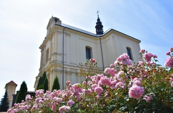 Zdjęcie: Kościół pw. Wniebowzięcia NMP w Sieniawie