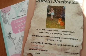 Zdjęcie: 8.jpg