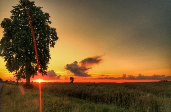 Zdjęcie: Sieniawa_zachód słońca