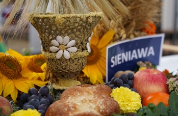 Zdjęcie: DSC03832.jpg