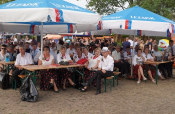 Zdjęcie: DSC04242.jpg