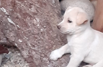 Zdjęcie: 3.jfif