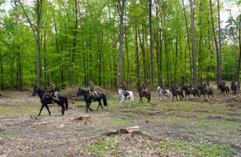 Zdjęcie: DSC09072.JPG