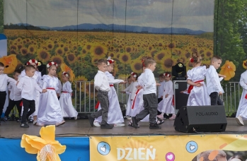 Zdjęcie: DSC00867.JPG