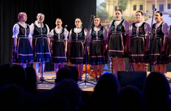 Zdjęcie: Z62_0817.jpg