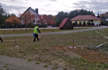 Zdjęcie: IMG_20251029_121827.jpg