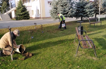 Zdjęcie: IMG_20251029_141157.jpg