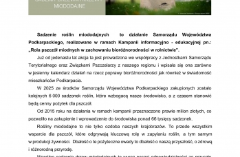 Zdjęcie: Informacja - akcja sadzenia drzew 2025.jpg