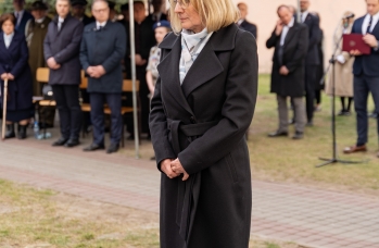 Zdjęcie: DSA04360.jpg