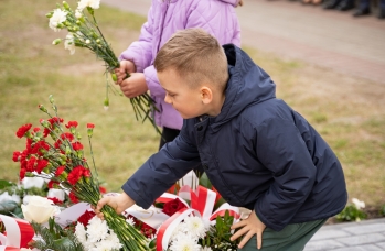 Zdjęcie: DSA04385.jpg