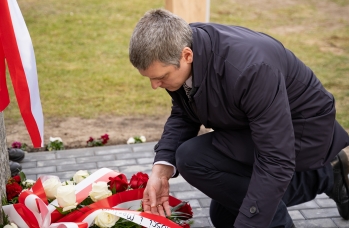 Zdjęcie: DSA04356.jpg