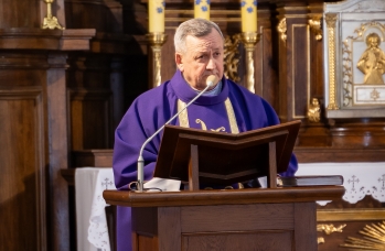 Zdjęcie: DSA04242.jpg