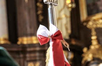Zdjęcie: Foto_109.jpg