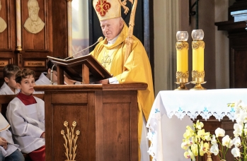 Zdjęcie: Foto_100.jpg