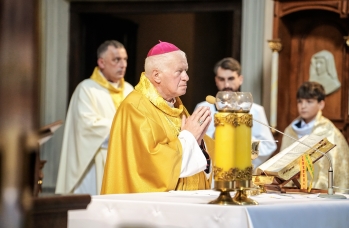 Zdjęcie: Foto_132.jpg