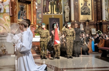 Zdjęcie: Foto_133.jpg