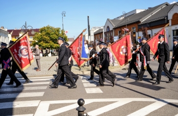 Zdjęcie: Foto_175.jpg