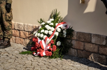 Zdjęcie: Foto_338.jpg