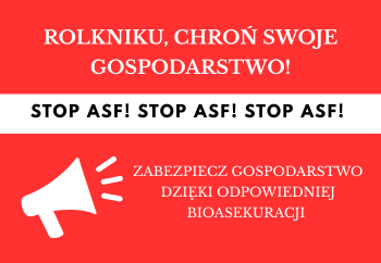 Zdjęcie główne dla: 'Afrykański pomór świń' 
