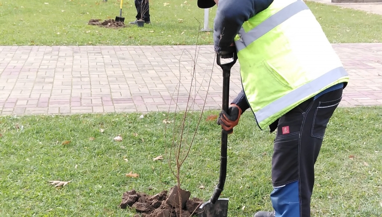 Zdjęcie główne newsa: Akcja sadzenia drzew i krzewów miododajnych w naszej gminie